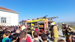 IMG-2025320cc9636acc4eed7547aa745257-V