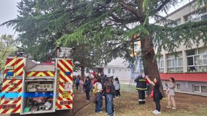 viber_image_2024-04-23_16-21-52-858